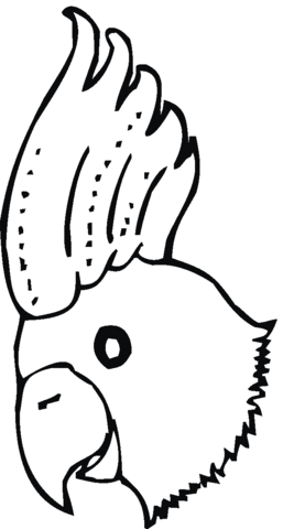 Umbrella Cockatoo Head Coloring Page